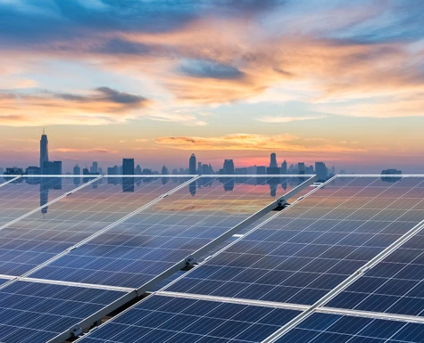 Bagaço da cana-de-açúcar é reaproveitado pela indústria no Paraná e vira energia, ração e plástico