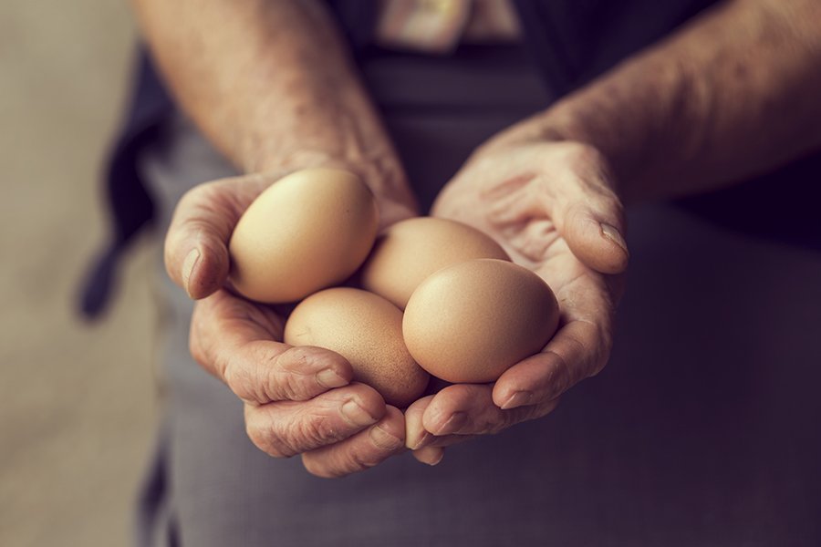 4 pontos para entender a escassez de ovos no mundo